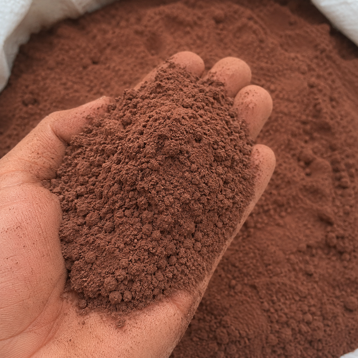 Mexican Mimosa Hostilis Root Bark Powder – Premium Natural Botanical Powder