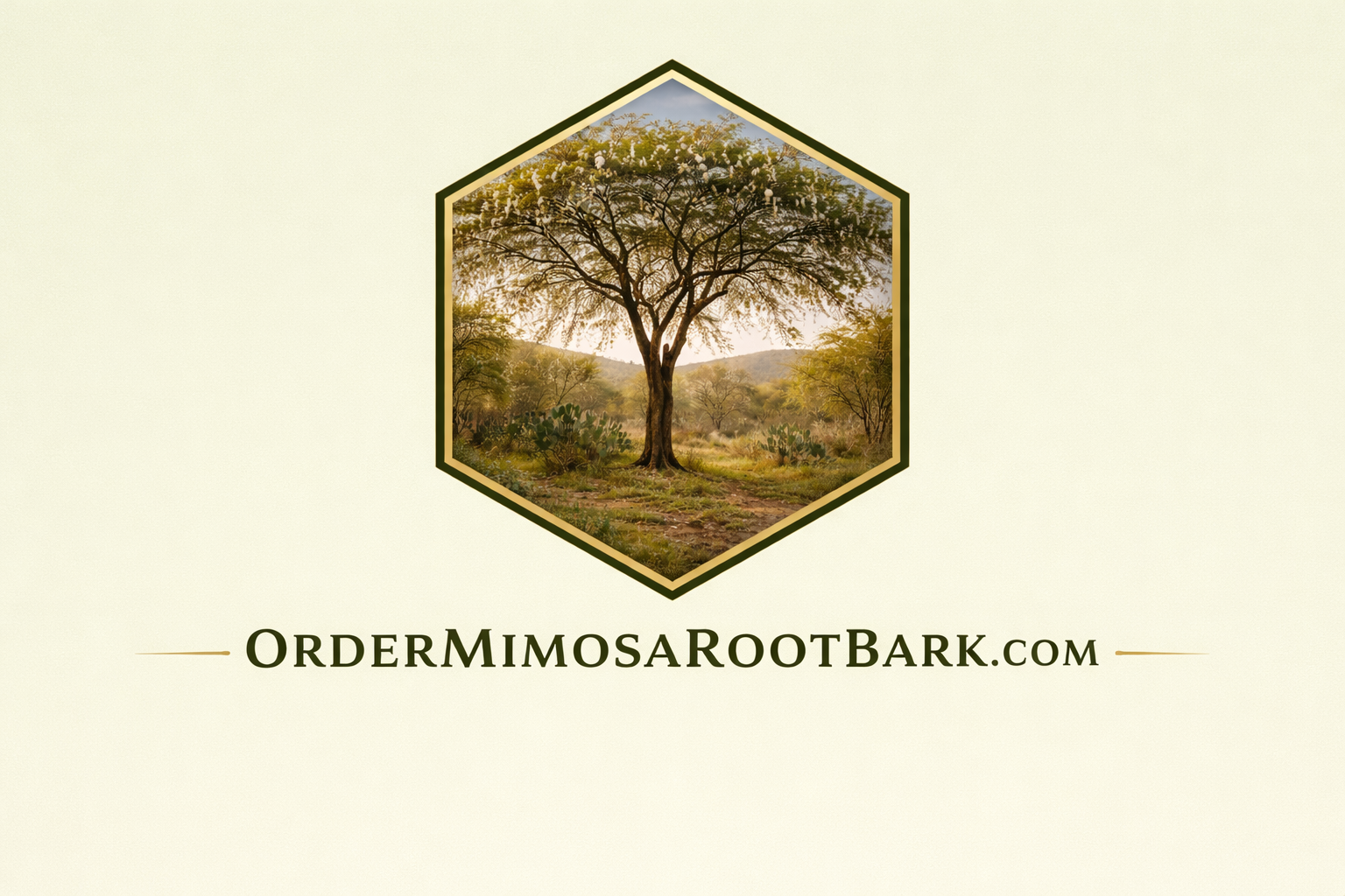ordermimosahostilisrootbark.com